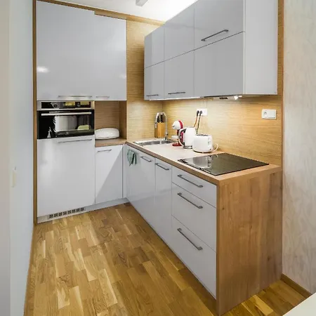 And Medvedin Appartement Špindlerŭv Mlýn