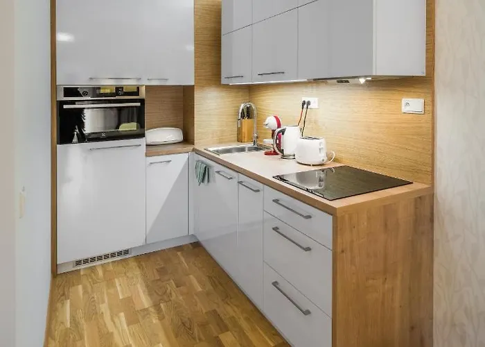 And Medvedin شقة Špindlerŭv Mlýn