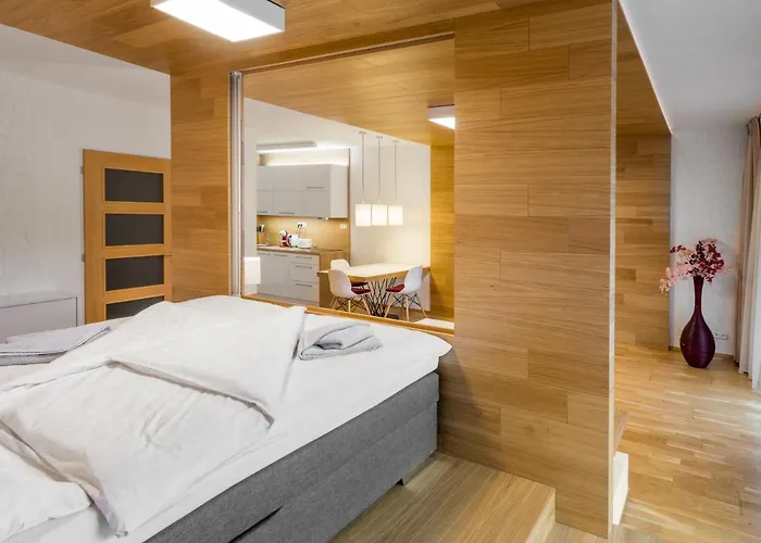 And Medvedin شقة Špindlerŭv Mlýn